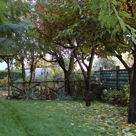 Il Giardino
