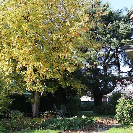 Il Giardino